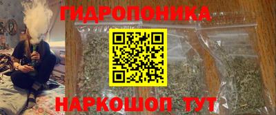стаф Тверь