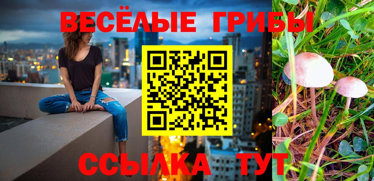 Галлюциногенные грибы мухоморы Новосибирск