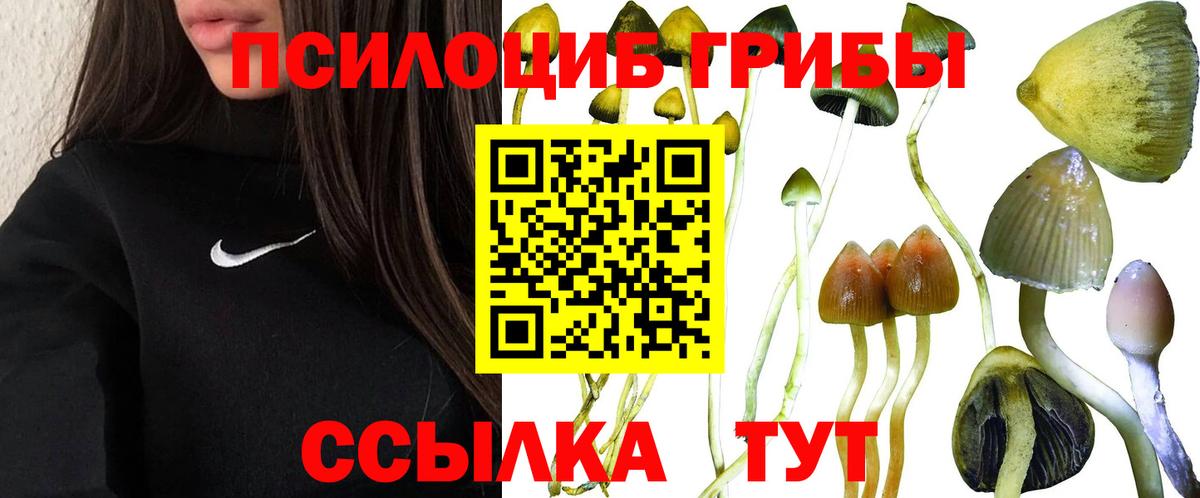 купить наркоту  Вход с VPN  Новосибирск  Псилоцибиновые грибы Magic Shrooms 