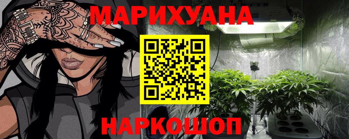 Марихуана план Новосибирск